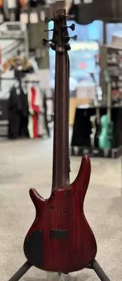 Ibanez SR Premium 6-String Electric Bass Guitar with Gigbag - Caribbean Green Low Gloss 2